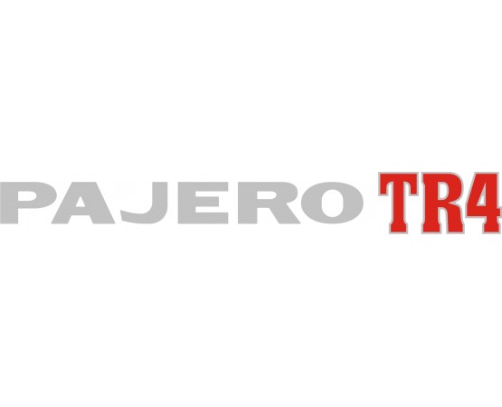 ADESIVO PAJERO TR4 - PAJERO TR4 16V PRATA S/ RESINA